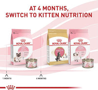 Royal Canin Feline Health Nutrition Mother & Babycat Ultra Soft Mousse in Sauce Canned Cat Food, 5.1 oz., Case of 24, 24 X 5.1 OZ