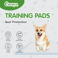 COCOYO Training Pads, 30"X36", XXL - Extra Extra Extra Large / 30.0 - image 4