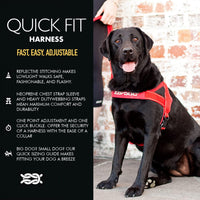 EzyDog Quick Fit Dog Harness, Soft Neoprene Padding - Large / Purple - image 2