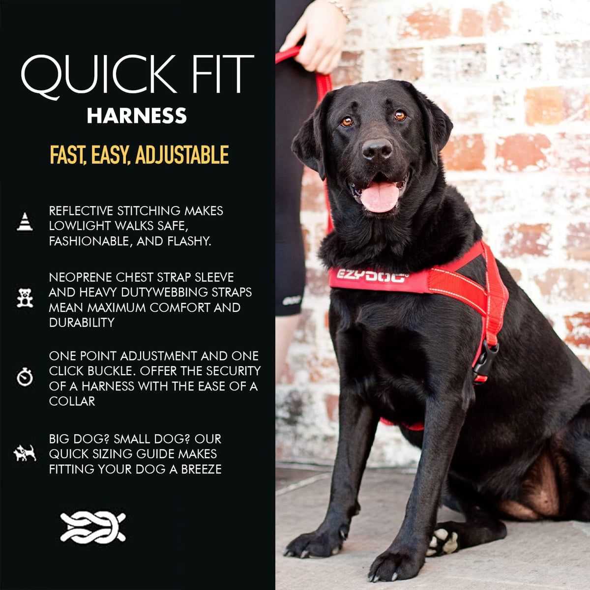 EzyDog Quick Fit Dog Harness, Soft Neoprene Padding - Large / Purple - image 2