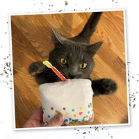 Meowijuana Birthjays Bundle | Birthjays Catnip Joints and Get Lit Cake Refillable Toy | Hand Harvested and Rolled Dried High Potency Catnip | Grown in North America