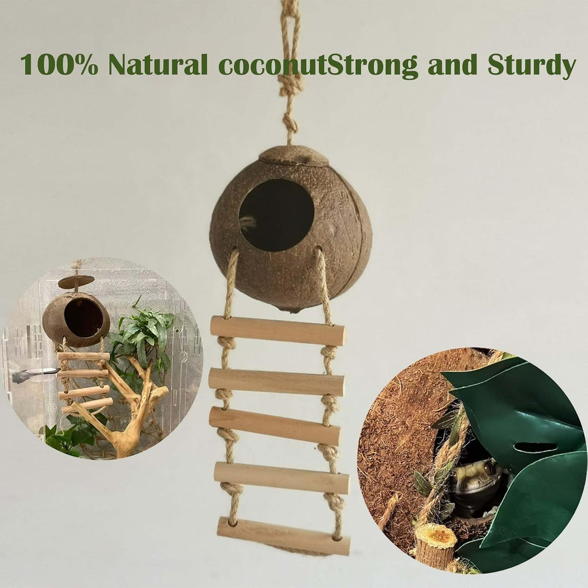 10PCS Crested Gecko Tank Accessories - 10 Piece with Single Coconut Shell - image 3