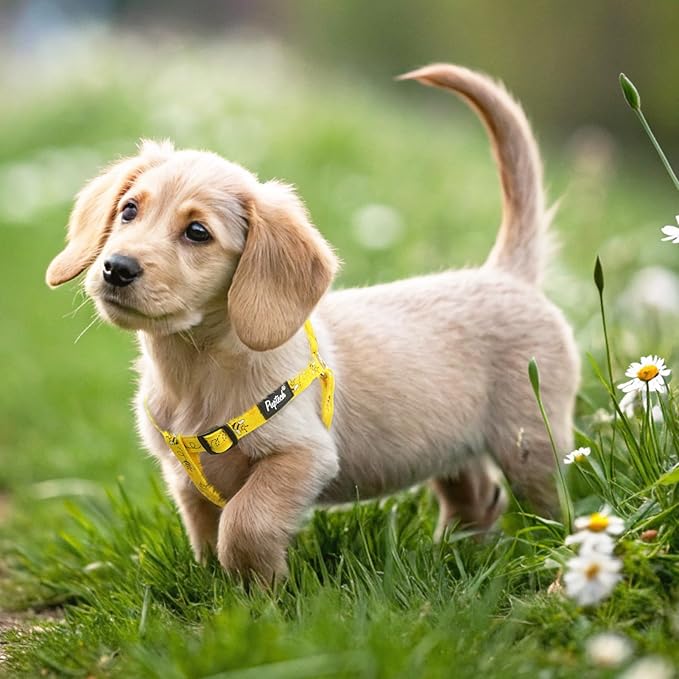 PUPTECK No Pull Dog Harness Soft Adjustable Basic Nylon Step in Puppy Vest Outdoor Walking with ID Tag, Yellow Bee, S
