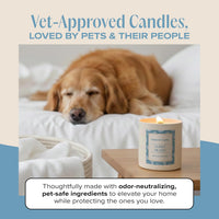 Nostalgia Pet-Friendly Scented Candle - Cuddle Me Cozy - 11.8oz / Cuddle Me Cozy - image 2
