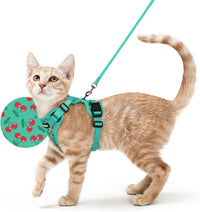rabbitgoo Cat Harness and Leash Set, Escape Proof Vest - S / Cherry Grove