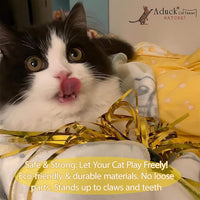 ADUCK Interactive Cat Teaser Wand Toy with Tassels - Durable Cat Chaser for Indoor Kitten Exercise, Boredom Relief & Training Play, Pack of 3 (Gold, Blue, Pink)