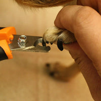 GoPets Pet Nail Clipper Bundle for Dogs and Cats with Large and Small Nail Trimmer with Free Nail File Grinder with Quick Guard and Angled Blades for Safety 2 Nail Cutter Bundle