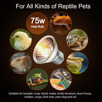 50W Uva Light Bulbs 4-Pack, Turtle Heat Lamp for Reptile – Essentials for Reptiles And Amphibians - 75.0 - image 2