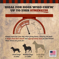 2" Beef Marrow Dog Bones for Aggressive Chewers, Small Breed Dog Treat, Natural, Tough, Chew Toy, Made in The USA, 6 Count