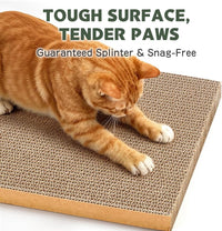 ARGOPET Cat Cardboard House with 2 PCS Scratching Pads – Essentials for Cats - Standard: 1 Box, 6 Pads - image 3