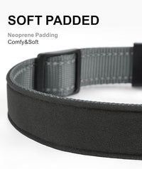 TagME Airtag Dog Collar,Waterproof Reflective Pet Collar with Airtag Holder,Soft Padded and Double D-Rings for Large Dogs,Grey