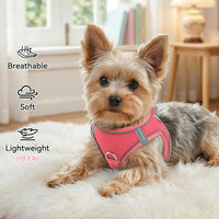 Joytale Step-in Dog Harness, Soft Breathable Mesh, Black S – Essentials for Dogs - XS--Chest: 13.5-15'' / Pink - image 4