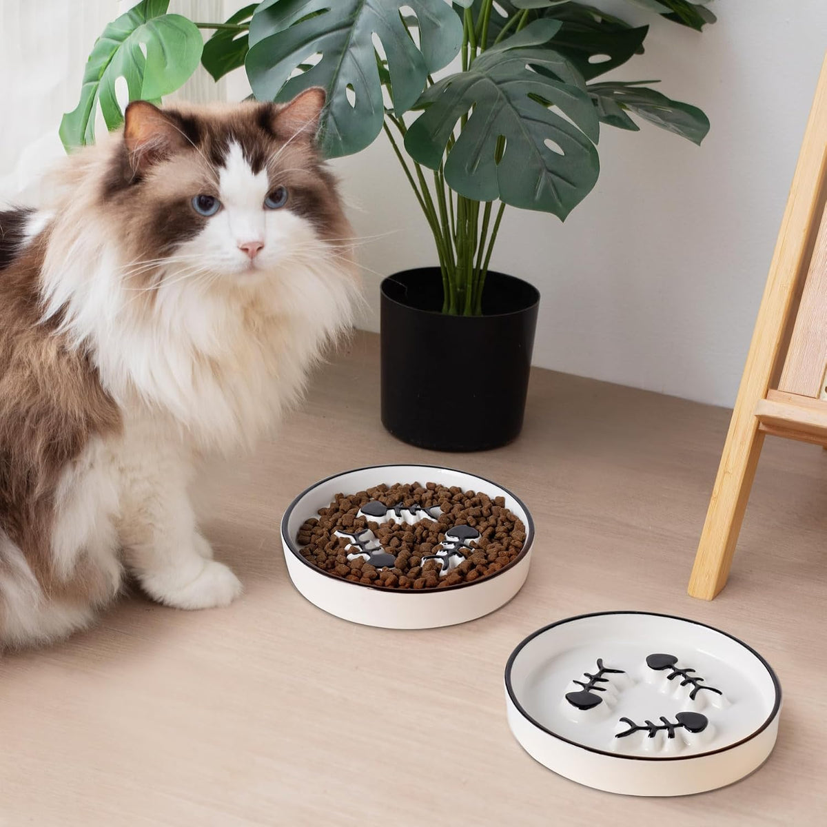 Ceramic Elevated Slow Feeder Cat Bowl, Anti Vomit - 2PCS Black Plates - image 4