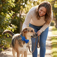 Dog Collar with Bowtie Soft Velvet Material with Quick Release Buckle - S / Royal Blue - image 3
