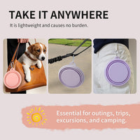 Collapsible Dog Bowls 2-Pack - 22 OZ Macaron Pink and Violet - image 3
