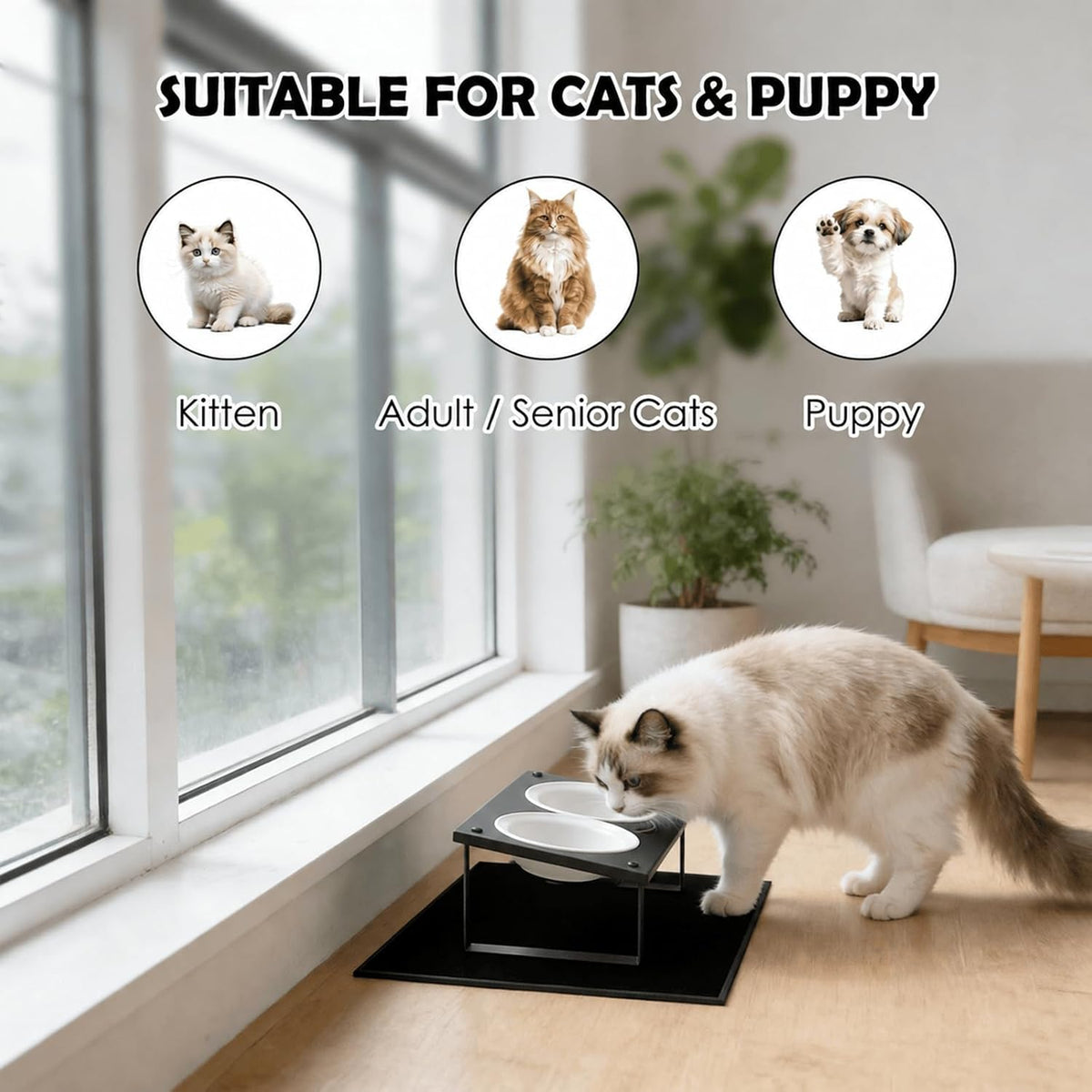 Elevated Cat Bowls with Splash Proof Mat for Kitten Puppy - White / 2bowls - image 3