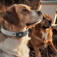 AirTag Dog Collar - Leather Dog Collar with Air Tag Holder | IPX8 Waterproof, Reflective, High - End, Adjustable Soft Padded | Dog GPS Tracker Collars Fit for Medium Large Dogs (Grey, L)