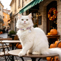 ARING PET 2 Pack Cat Collar-Cute Cotton Cat Collar Breakaway - Halloween Pink & Orange Ghost - image 4