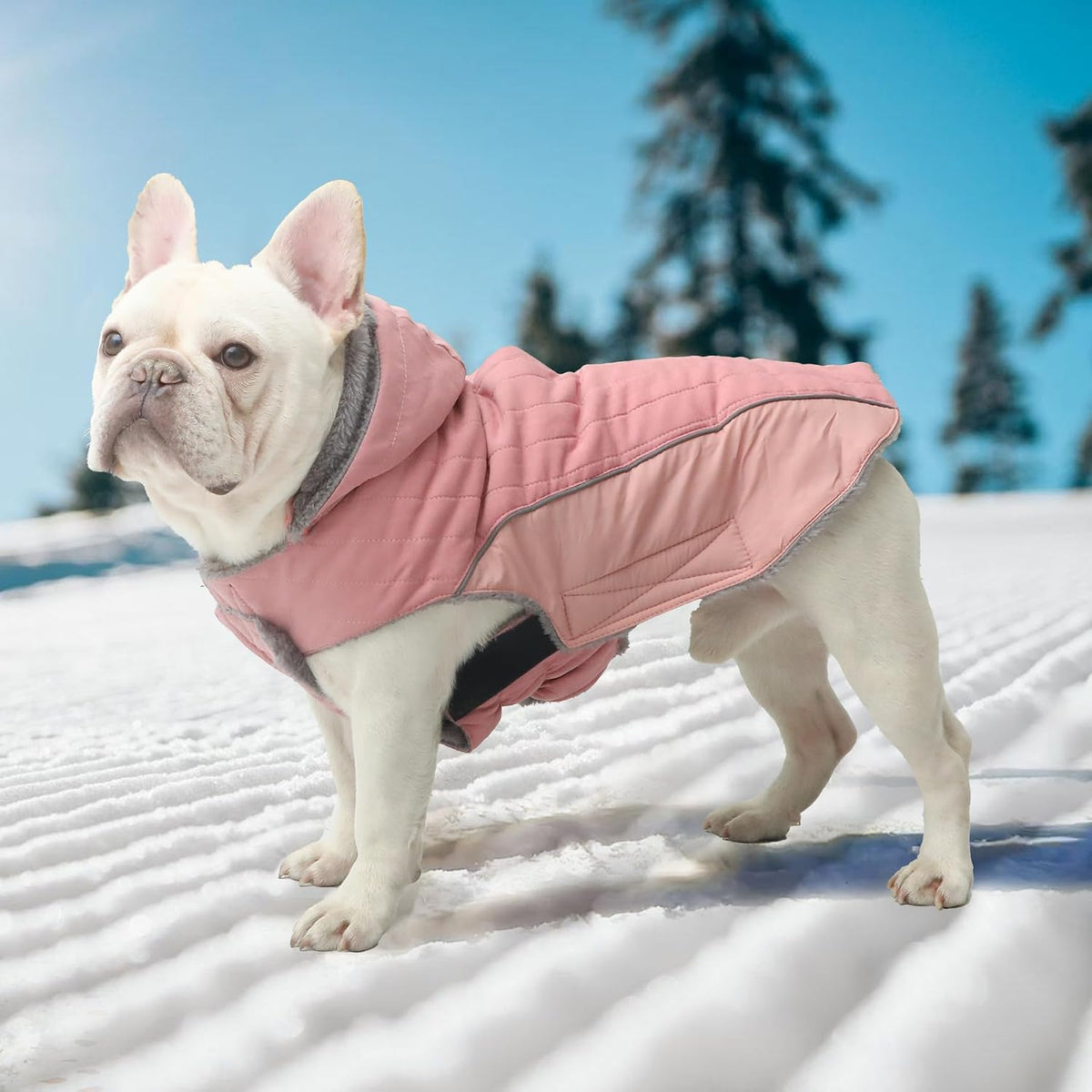 Warm Fleece Dog Hoodie for Small Dogs, Winter Puppy Coats - Pink / XXX-Large - image 2