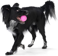WEST PAW Boundr Ball Dog Fetch Toy – Bouncing Toys for Dogs, Fetch, Catch, Chewing, Play – Floatable, Recyclable Balls – Small Dandelion Yellow/Hot Pink 2-Pack