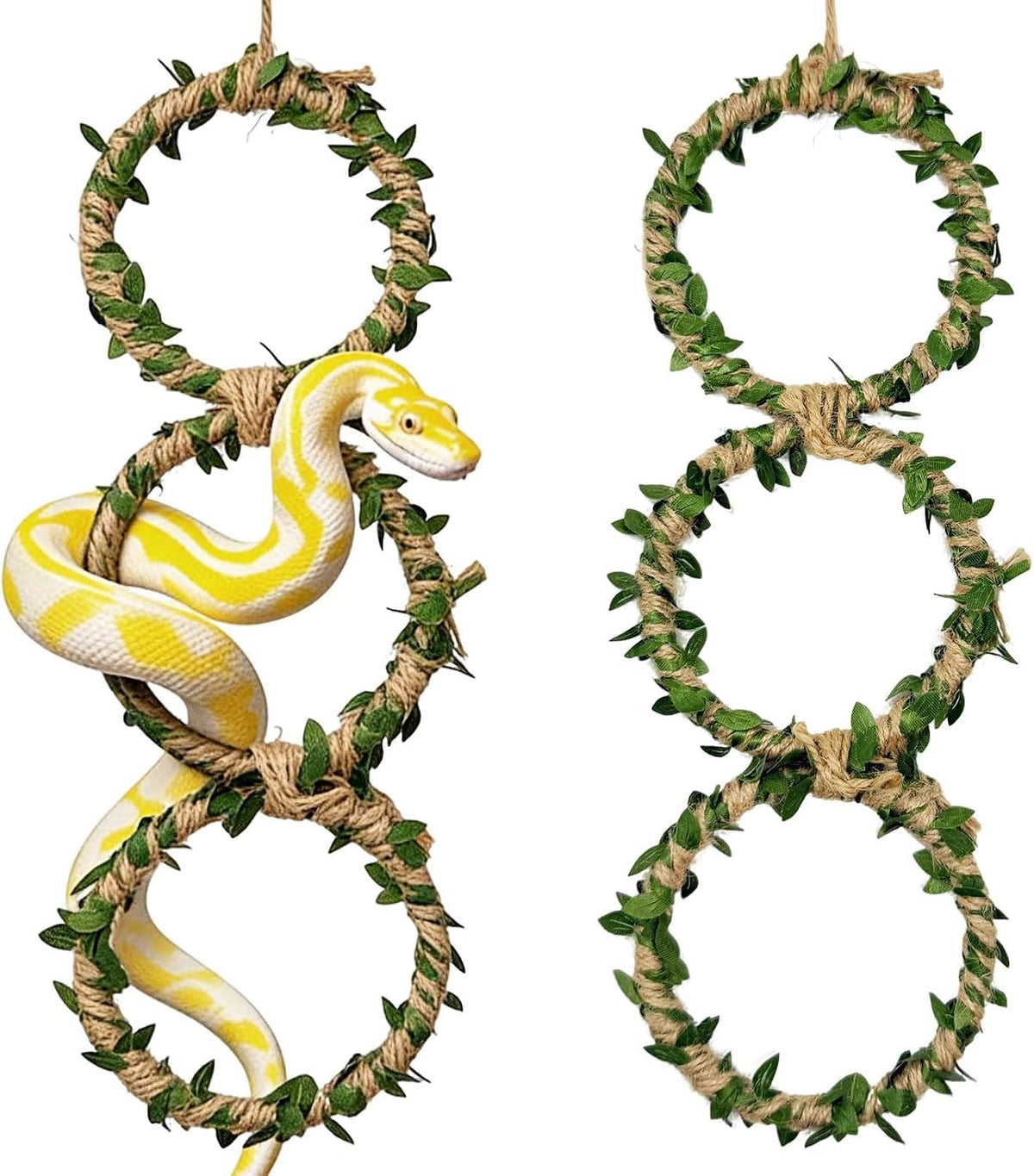2 Pack Snake Climbing Rings for Ball Python & Corn Snake - Green