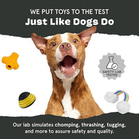 Barkbox Super Chewer Tough Dog Chew Toys for Aggressive Chewers, Plush 2 Toys in 1 (Parrot - Large)