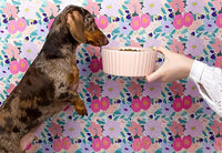 Waggo Ripple Ceramic Dog Bowl for Medium and Large Breeds - Modern with Matte Finish, Heavyweight Durable Pet Food and Water Dish Crock, Dishwasher Safe (Medium, Cloud)