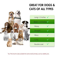 Dog Brush Kit - Self-Cleaning Slicker Brush with Bath Brush & Undercoat Rake | Deshedding Tools for Large - Small Dogs & Cats, Professional 3-in-1 Pet Grooming Set for Heavy Shedding, Green