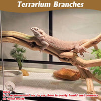 VCEPJH Snake Climbing Branch - Panlong Wood (L:13.7"-15.7"-2pcs) / 2 - image 2