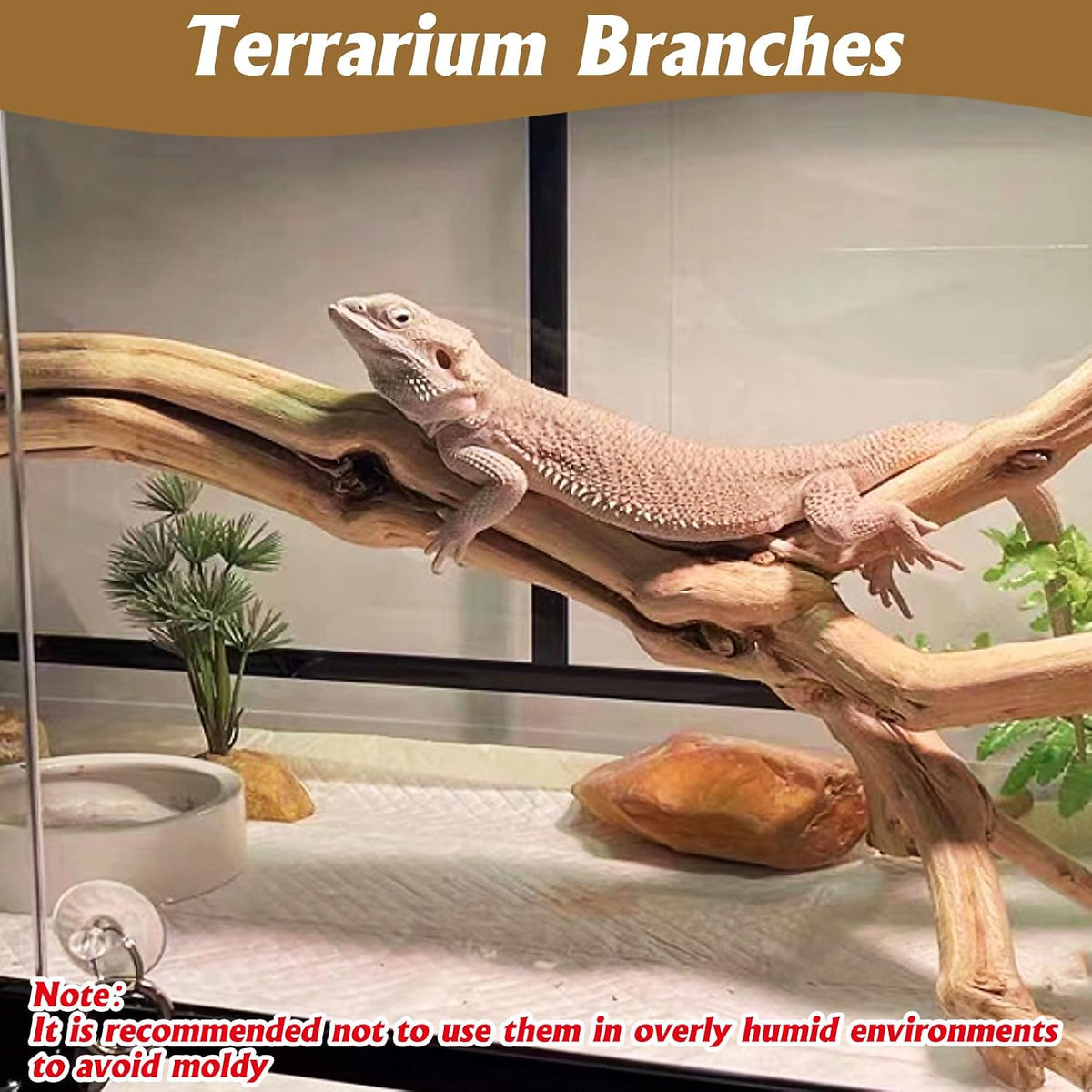 VCEPJH Snake Climbing Branch - Panlong Wood (L:13.7"-15.7"-2pcs) / 2 - image 2