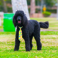 PET SHOW 10pcs Paw Print Medium Dog Ties Neckties for Medium Large Dogs Adjustable Holiday Birthday Grooming Accessories Neck Ties Girl Boy Festival Wedding Costumes Puppies Party Gift