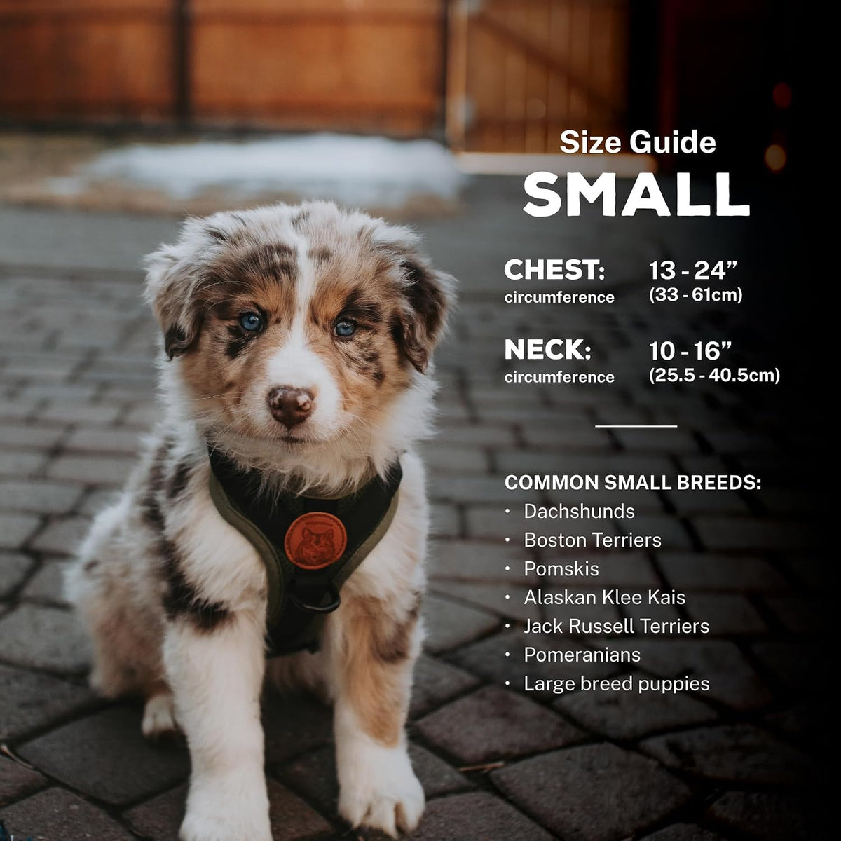 Wilderdog Lightweight Dog Harness with Reflective Straps - Ember / Small - image 2