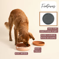 The Perfect Dish, Silicone Dog Bowl for Food & Water - Spruce / Large (9.5” Across and 2.5” Tall) - image 2