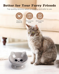 Raised Cat Food Bowl Ceramic 15° Tilted Cat Food Bowls Protect Cat's - FaceGrey-1P / 1 - image 2