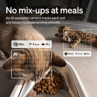 PETLIBRO Automatic Cat Feeder for 2 Cats - 5l single bowl - image 2