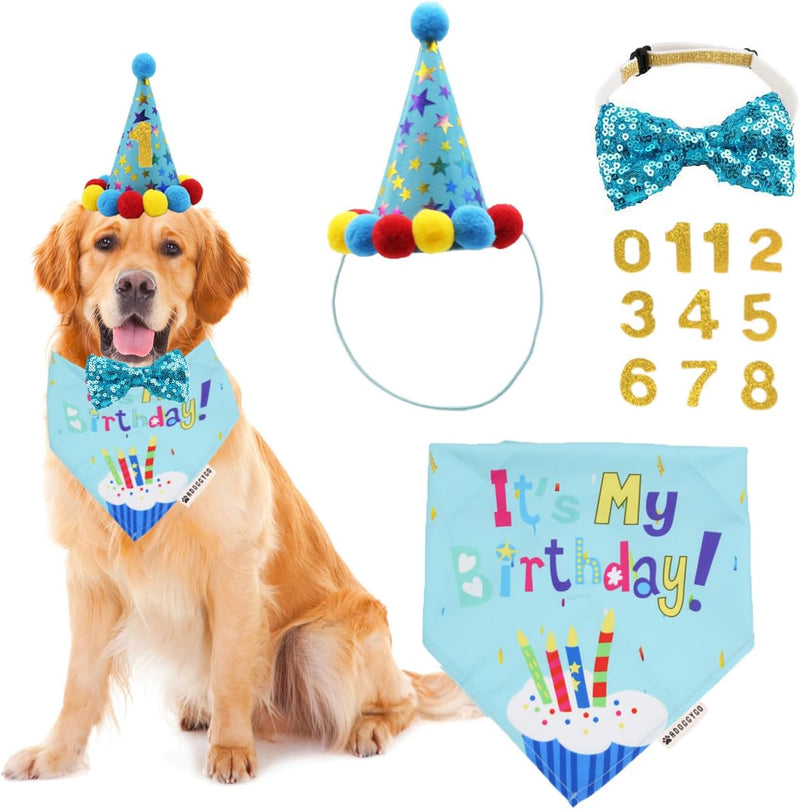 Dog Birthday Hat, Blue Birthday Boy Bandana with Bow Tie - X-Large / Blue