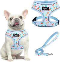 Pupteck Soft Mesh Dog Harness Sized and Leash Set Pet Puppy Cat - Baby Blue / M (NECK: 14", CHEST: 17"-21") / Classic over-the-head harness