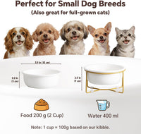 Small Glass Tilted Elevated Cat Dog Bowl Raised Cat Food Water Bowl - Small / White-Flat - image 2