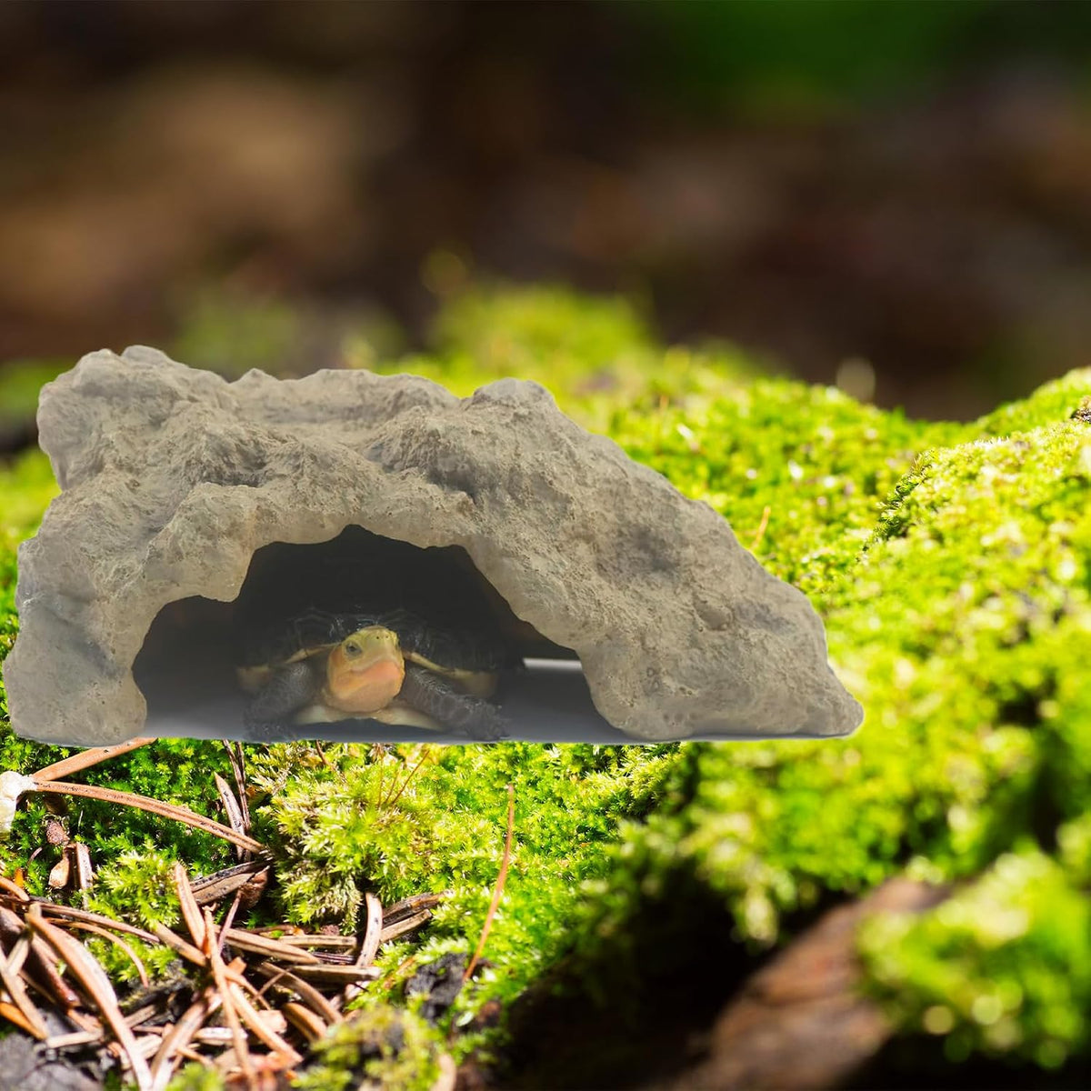 Reptile Hide for Leopard Gecko, Bearded Dragon - Small - image 4