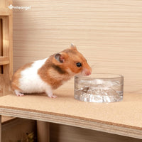 Niteangel Hamster Feeding & Water Bowl - White - image 2