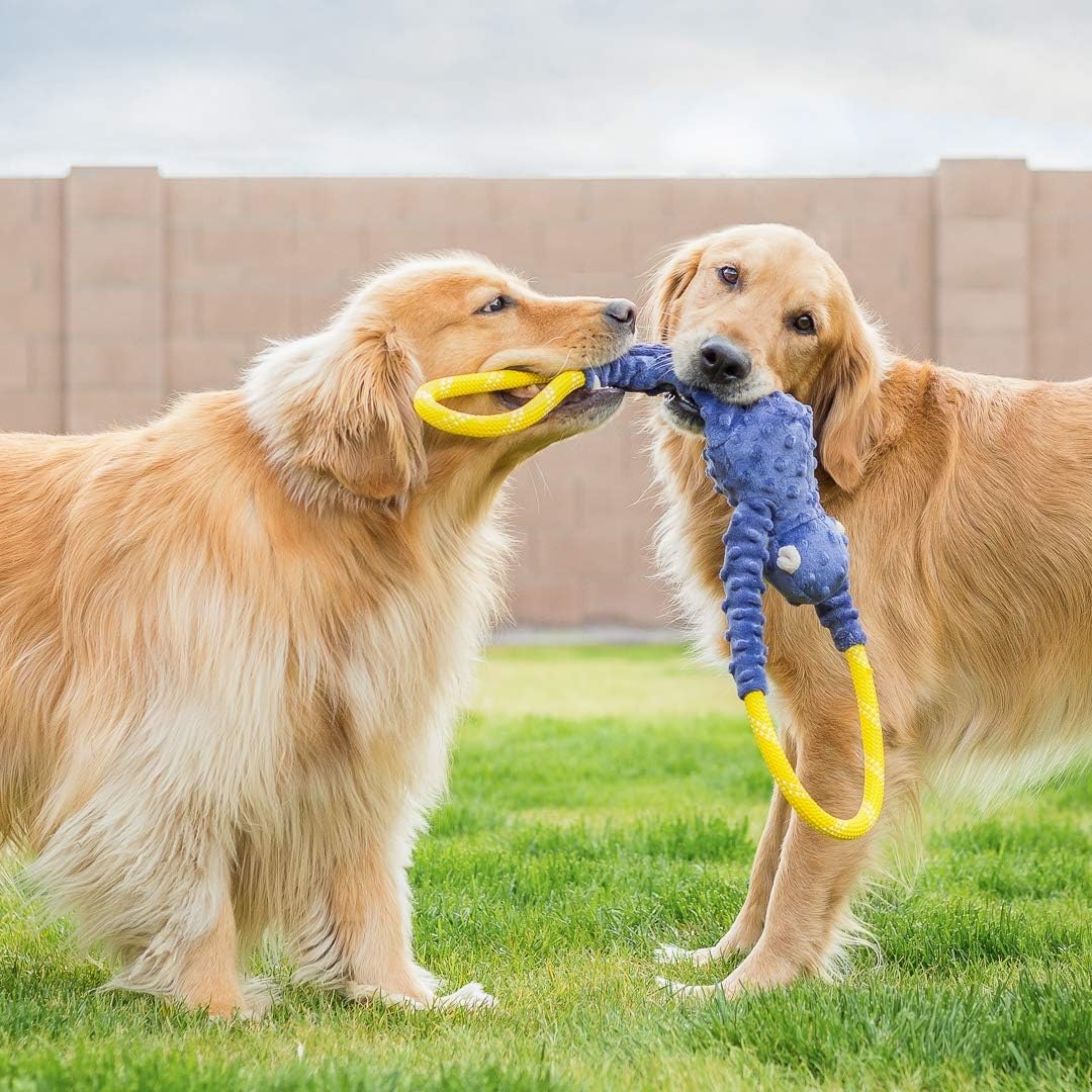 ZippyPaws RopeTugz Durable Dog Pull Rope Toy, Blue Monkey - Blue / 28 x 5 x 5 in - image 2