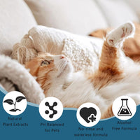Pet Steam Brush for Dog & Cat Includes Waterless 2*Shampoo – Essentials for Cats - 7.8"-400ML - image 2