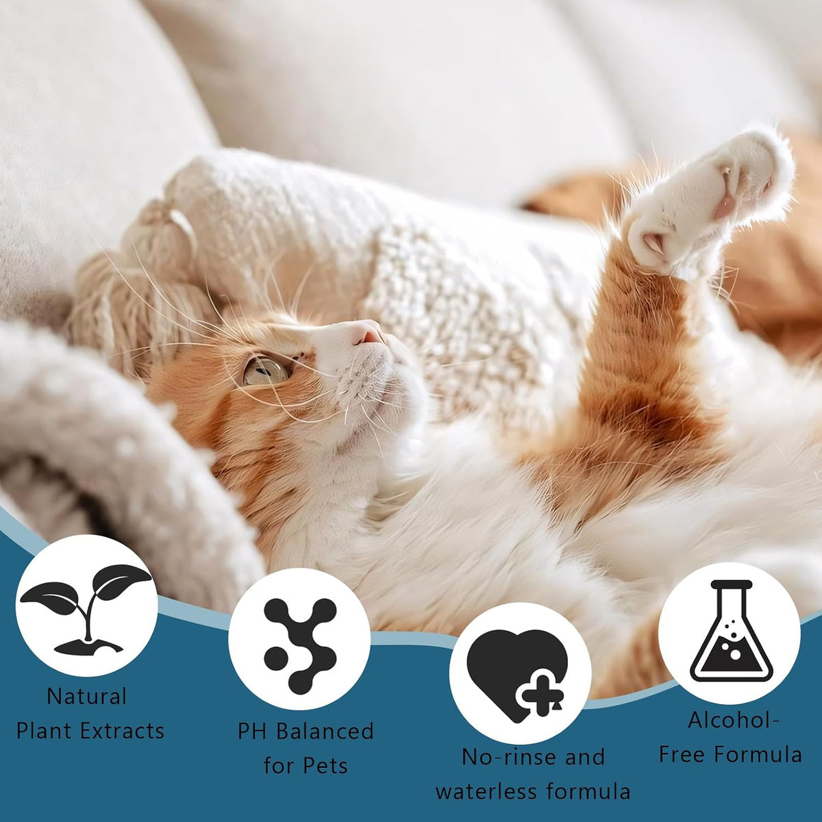 Pet Steam Brush for Dog & Cat Includes Waterless 2*Shampoo – Essentials for Cats - 7.8"-400ML - image 2