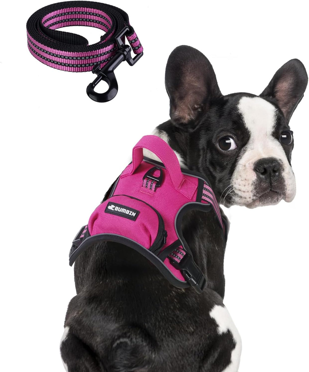 No Pull Dog Harness for Medium Dogs - Rose Red / L