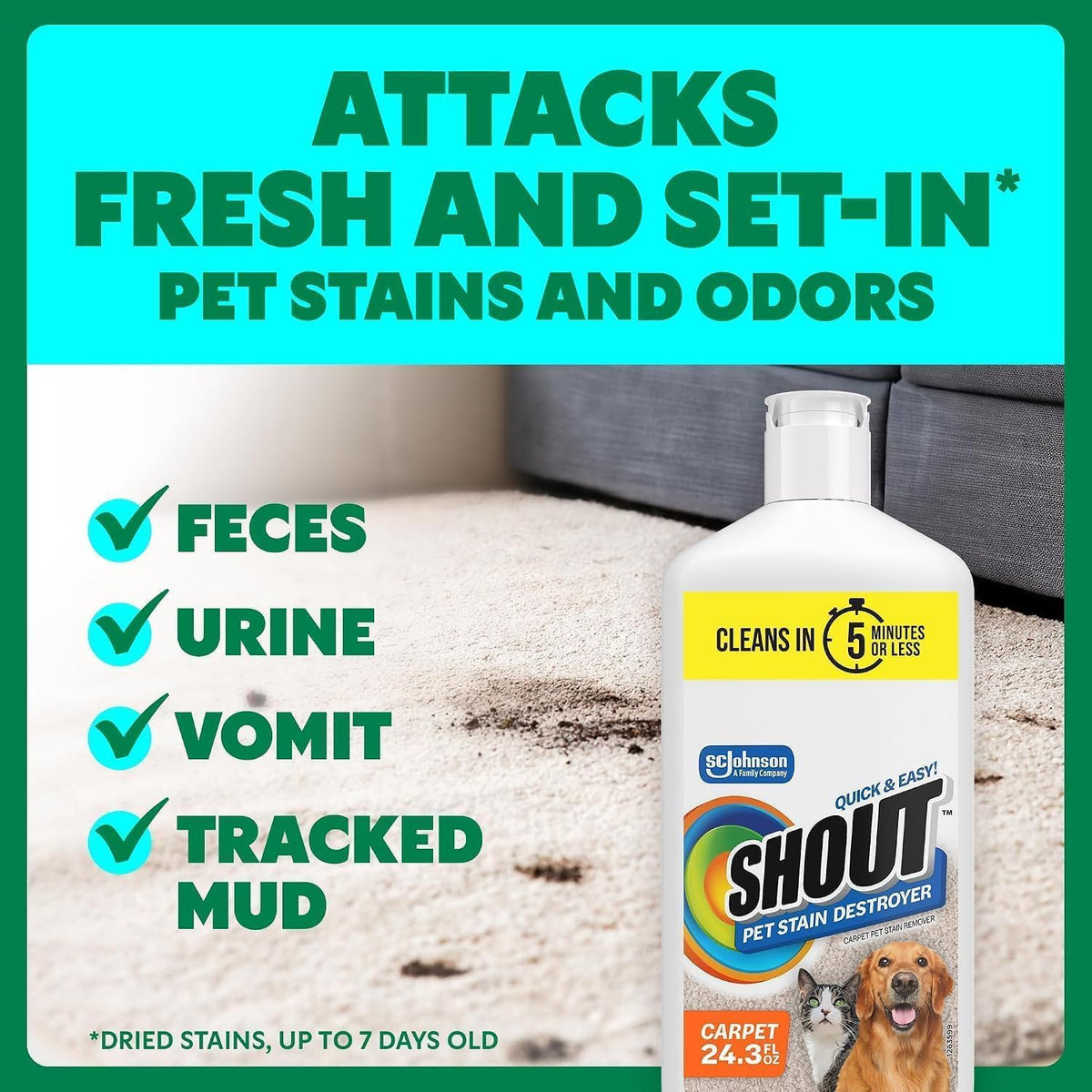 SHOUT Pet Stain Remover Spray - 24.3 Fl Oz (Pack of 3) / Squeeze - image 2