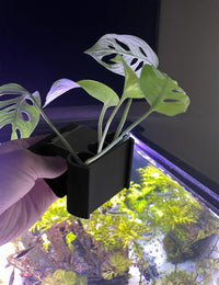 2 Pk Upgraded Aquarium Plant Holder - Black - image 3