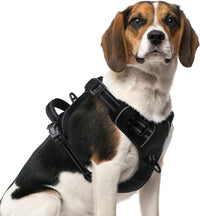 PUPTECK No Pull Halloween Dog Harness for Large - Black / Medium / Harness Only
