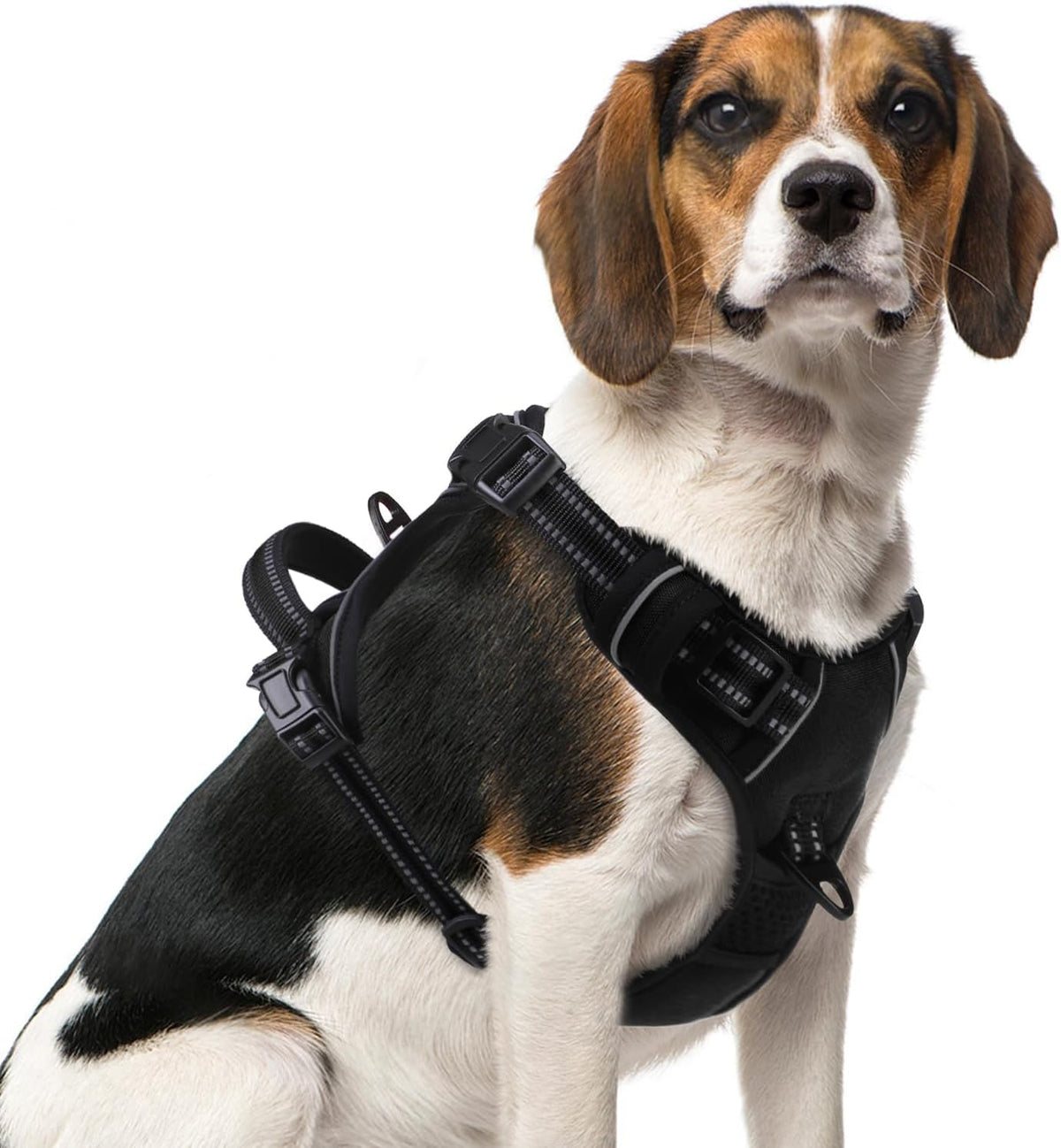 PUPTECK No Pull Halloween Dog Harness for Large - Black / Medium / Harness Only
