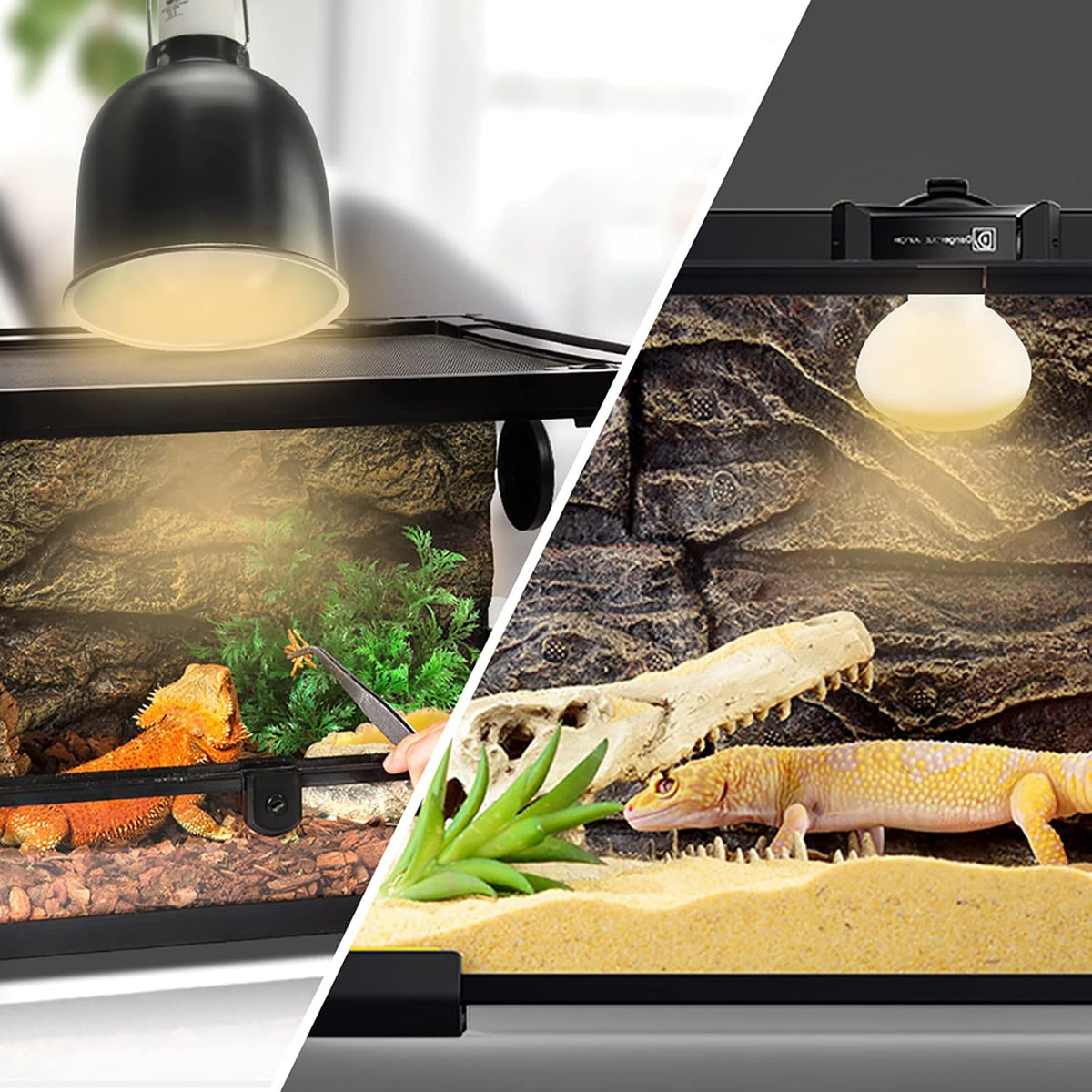 LUCKY HERP 4 Pack 100W Reptile Heat Lamp Bulb - 100 - image 4