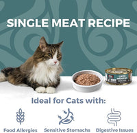KOHA Limited Ingredient Diet Venison Paté for Cats - Single Meat Cat Food for Sensitive Stomachs - Paté Venison Cat Food with No Fillers - 5.5 oz Pack of 24